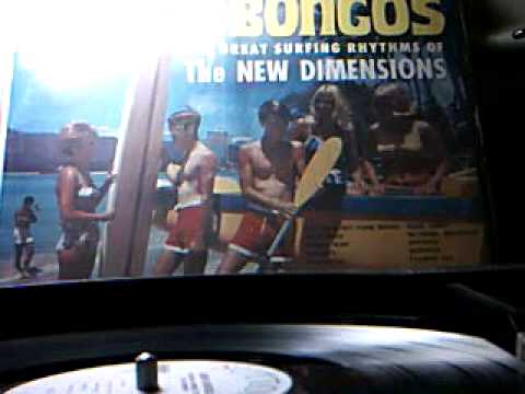 The New Dimensions -  Cat on a Hot Foam Board - vinyl LP