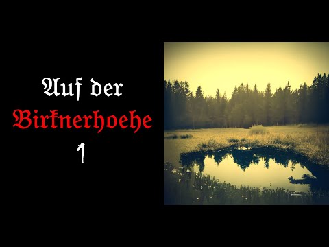 At Birknerhöhe 1, Bavarian horror story, monsters, Bavarian creepypasta