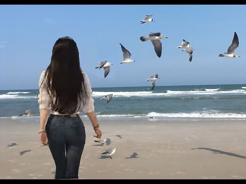 Mùa Hè phương xa - Hồng Tước