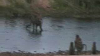 preview picture of video 'River-crossing.avi'