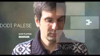 Dodi Palese - Inghirami