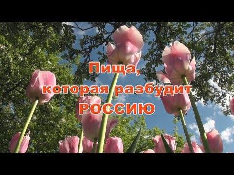 Пища для России Часть 1