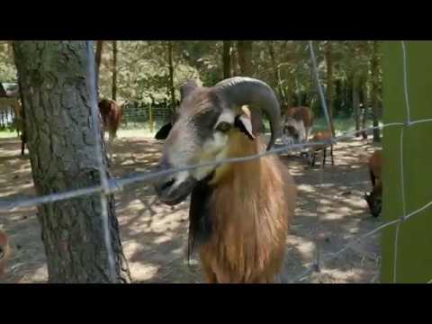 Dworek Wymysłów - przepiękna sala weselna w województwie świętokrzyskim