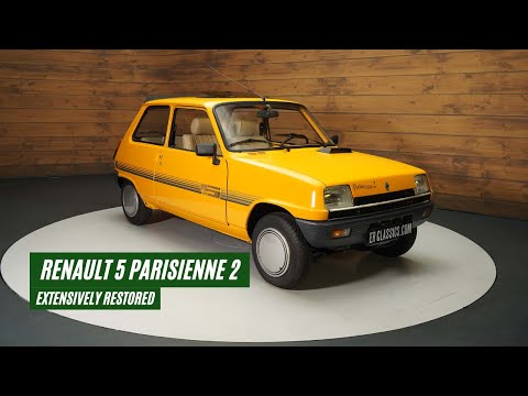 1984 Renault R5 (CC-1835144) for sale in Waalwijk, Noord-Brabant