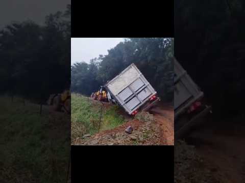 Carreta com carga de suínos tomba em estrada no interior de Xaxim