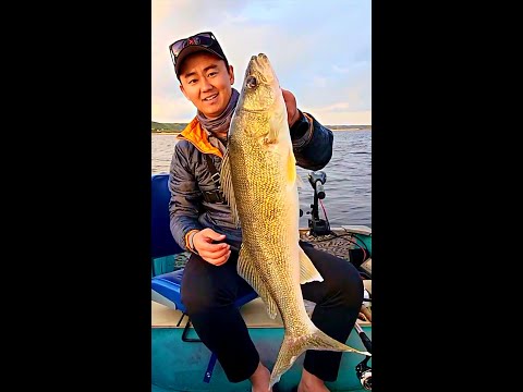 Walleye Fishing
