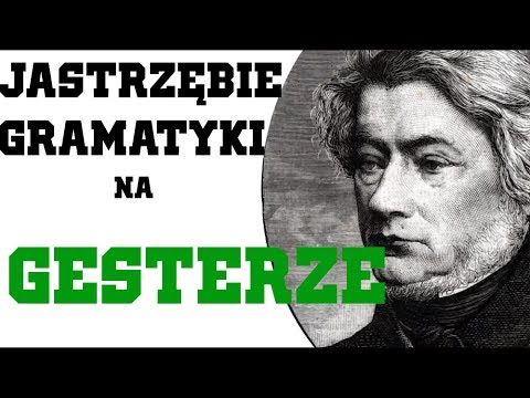 Jastrzębie Gramatyki na Gesterze #7
