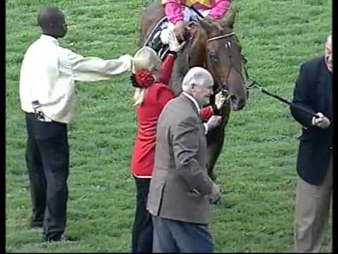 Ravishing - SA Derby (Grade 1)