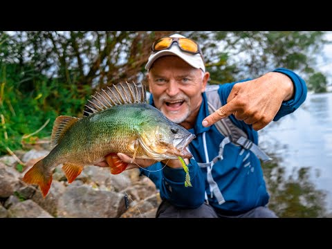 Dropshotting with small lures ALWAYS catches fish!