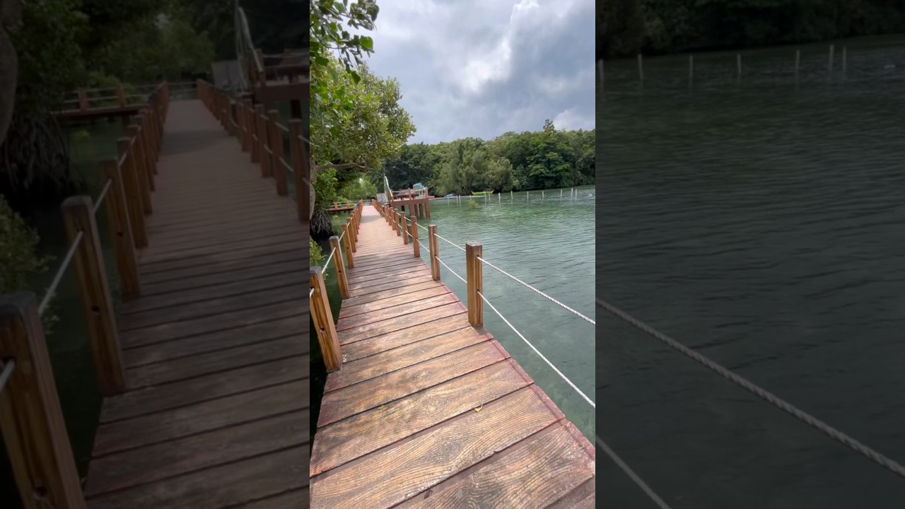 YouTube Short thumbnail