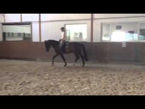 Cor de Lord by Cor de la Bryere - Lord Z - Fasolt, May 14, *2011, line 8819