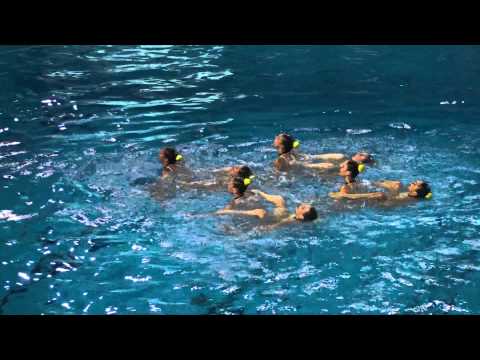 WJSSC 2014, Serbia, team preliminary