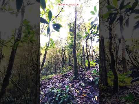 img-video