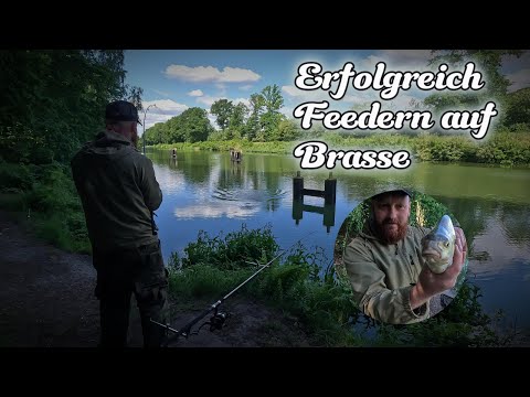 Mit Feedern zum Erfolg am Kanal Altarm