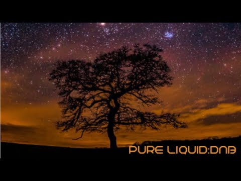 Liquid Drum And Bass Mix 2023 (Pure Liquid) No: 229