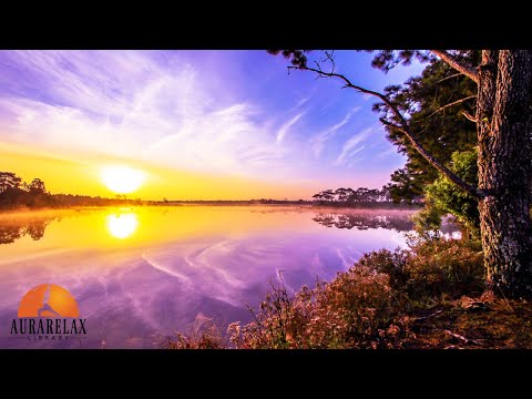 432Hz Majestic Ethereal Mornings Music - Uplifting Music To Elevate Your Morning New Fresh Day