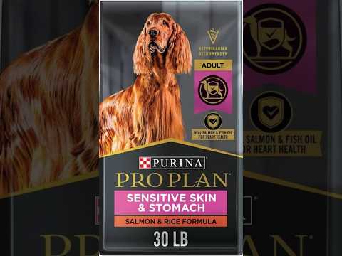 🚫DON'T Feed Your Dog Purina: Healthier Alternatives #petnutrition #doghealth #dogfood #petfood