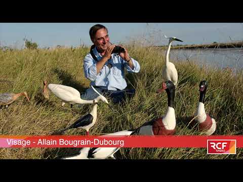Allain Bougrain-Dubourg, une vie au service de la protection des oiseaux
