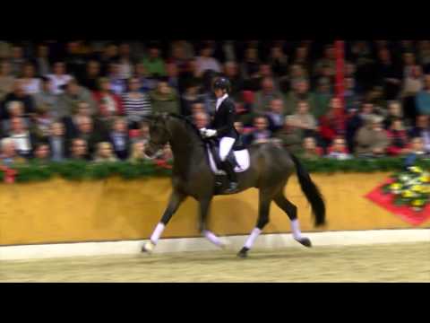 For Dance *2013 by For Romance - Rubiloh (Stallion Show Sosath 2017)