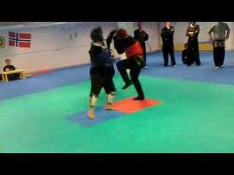 Mastercup 2008 Highlights