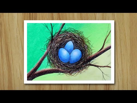 Bird eggs in the nest drawing, Easy Drawing for beginners
