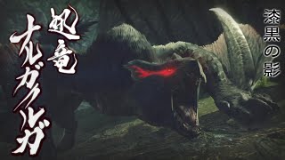 MHRiseを実況プレイ 19【ナルガクルガ】