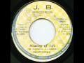 ReGGae Music 542 - The Heptones - Meaning Of Life [J.B.]