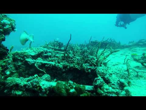 Proteus Wreck -  Key Biscayne, FL.