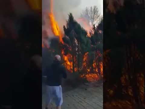 Du gehörst in den Knast!!! Selbst ist der Mann!!! Du bist doch krank!!!