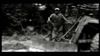 Trabalho Escravo - Ratos de Porão