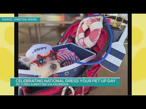 NATIONAL DRESS YOUR PET UP DAY - YouTube