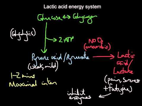 download lagu mp3 mp4 Lactic Acid Energy System, download mp3 Lactic Acid Energy System free downloadn, video klip Lactic Acid Energy System
