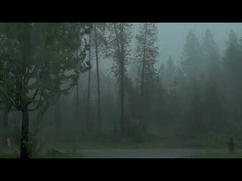 Bellissimo e furioso temporale e pioggia in mezzo al bosco - pioggia rilassante - ASMR - rain