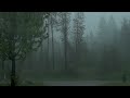 Bellissimo E Furioso Temporale E Pioggia In Mezzo Al Bosco Pioggia Rilassante ASMR Rain