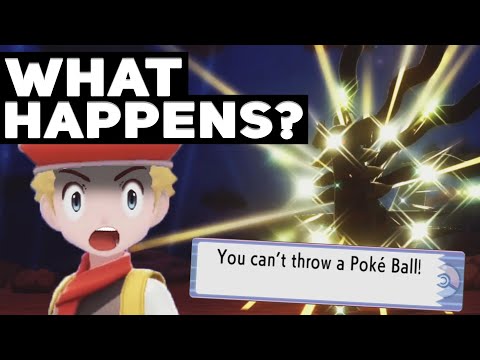 What Happens If You Encounter A SHINY Shadow Giratina In Pokémon Brilliant Diamond & Shining Pearl?