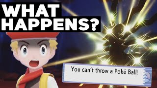 What Happens If You Encounter A SHINY Shadow Giratina In Pokémon Brilliant Diamond & Shining Pearl?