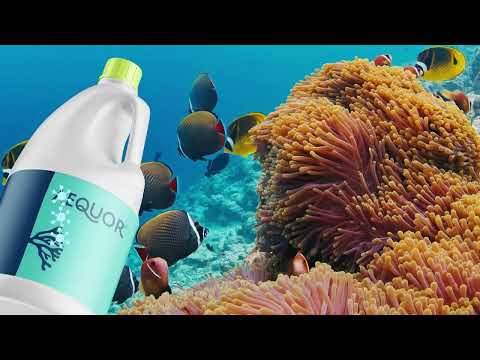 Aequor Inc. - Technology