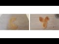 Busy Beavers Sing The Alphabet Alphabet Backwards