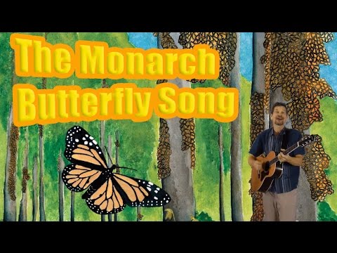 Monarch Butterfly Song migration to Mexico & life cycle