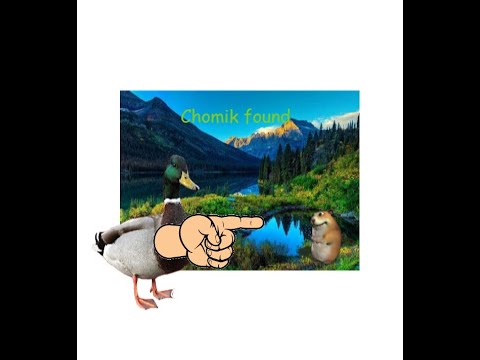 find the Chomiks pt.1