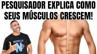 Understand how your muscles grow!