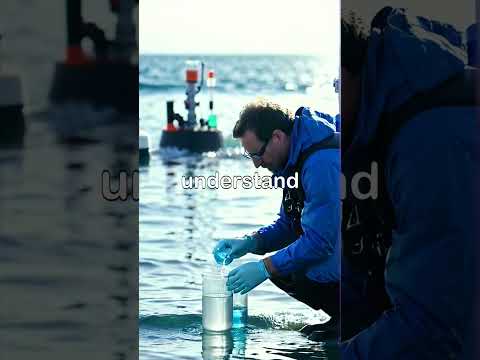 Secrets of the Sea #salt