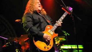 Govt Mule I Shall Be Released