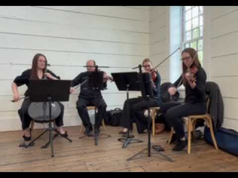 Promotional video thumbnail 1 for The Maywood String Ensemble