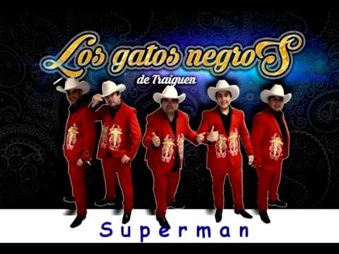LOS GATOS NEGROS SUPERMAN