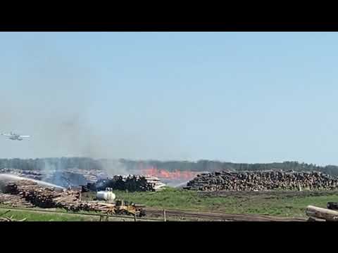 Frankie’s county living, four water bombers in action.