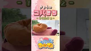 きょうのコバきち ショート動画【かくれんぼ2】#コバきち #コバこ #コバじろう #わくわく魚っちんぐ #おとこぎコバンザメ #コバンザメ #子供向け #きょうのコバきち #vlog #かくれんぼ
