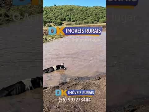 🚨 INVISTA EM UMA DAS MELHORES OPORTUNIDADES DA CAMPANHA GAÚCHA! 🚜🌾
