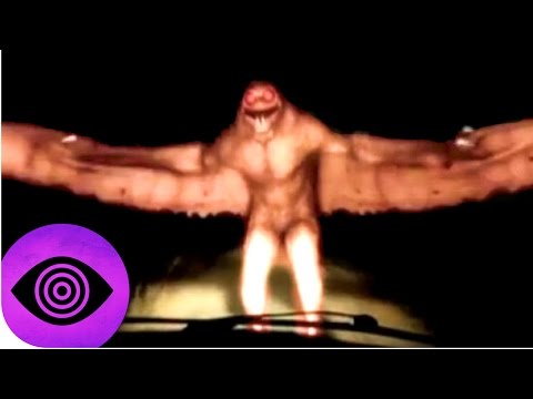 Mothman: tajemnica człowieka-ćmy