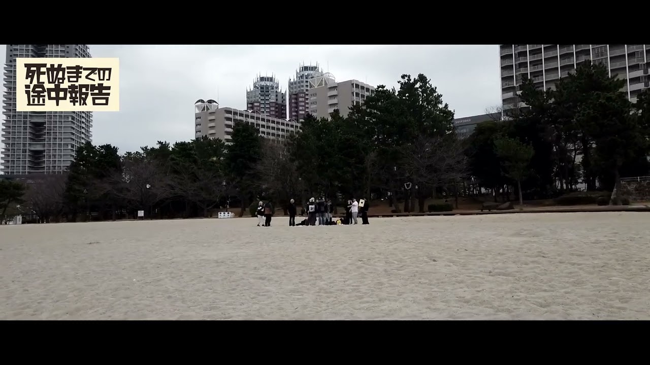 ランチでお台場に行ってきました【死ぬまでの途中報告】